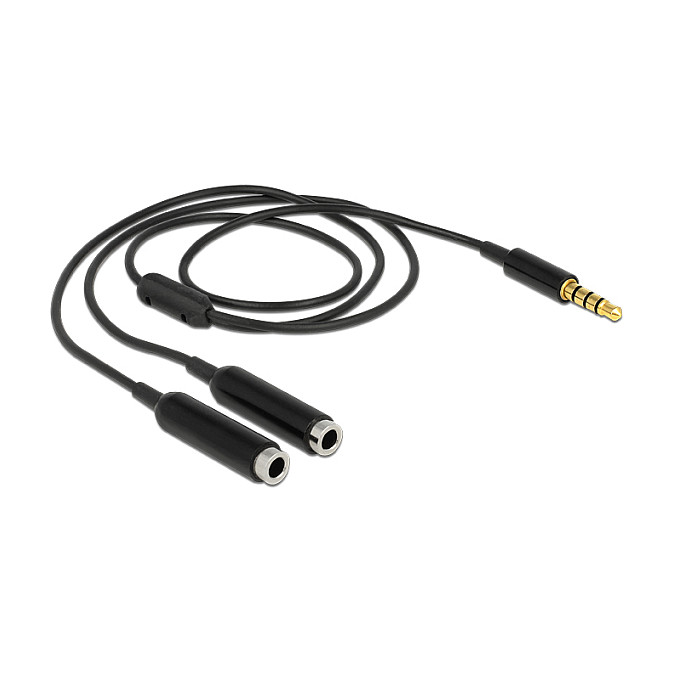 Delock 65575 Cable 3.5mm Macho a 2x 3.5mm Hembra, 0.25m, Negro
