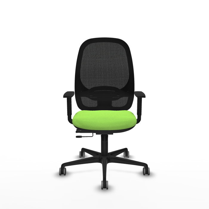PIQUERAS Y CRESPO Silla de oficina Cilanco con mecanismo Sincro/Traslack, Pistacho y Negro PIQUERAS Y CRESPO Silla de oficina Cilanco con mecanismo Sincro/Traslack, Pistacho y Negro