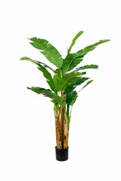 DKD Home Decor Árbol de Bananera Verde (Pack de 2)