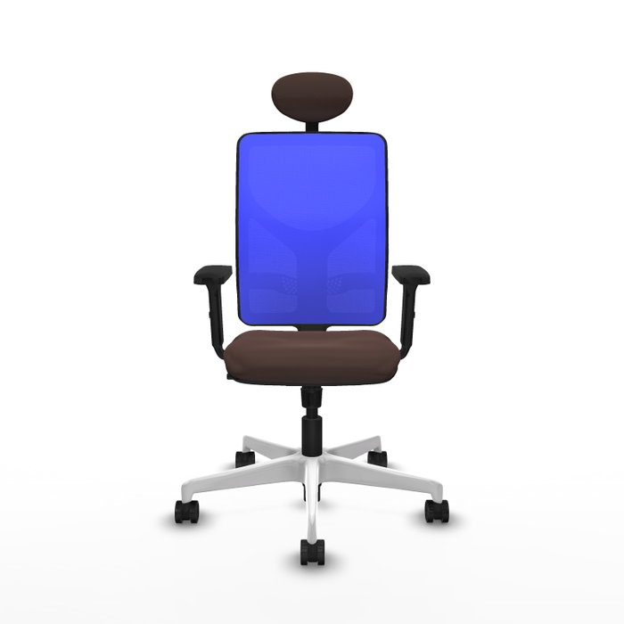 PIQUERAS Y CRESPO Silla de oficina Motilla con mecanismo Sincro, Marrón oscuro y Azul PIQUERAS Y CRESPO Silla de oficina Motilla con mecanismo Sincro, Marrón oscuro y Azul