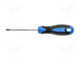 HÖGERT TECHNIK Destornillador estándar Torx® TX25 100mm