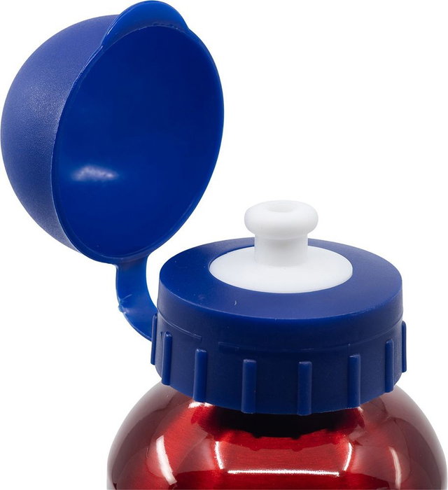 Botella de Agua The Avengers CZ11259 Rojo 530 ml Aluminio