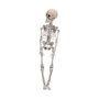 Figura esqueleto halloween decoración 42 cm