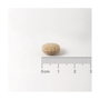 Lamberts Ginkgo Biloba 6000mg 60 Tabletas