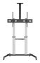 Ewent Soporte de Suelo con Ruedas para TV 60"-100", VESA hasta 1000x600, Ajuste de Altura, Carga 100 kg - Estante para Cámara