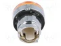 SCHNEIDER ELECTRIC Interruptor de presión Harmony XB4 22mm Naranja
