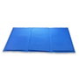 Esterilla Refrigerante para Mascotas Petitto Azul Nailon PCV
