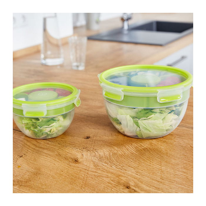 Emsa N1060700 Salatbox Redonda con Compartimento y Caja para Aderezo, 2.6 L, Transparente y Verde