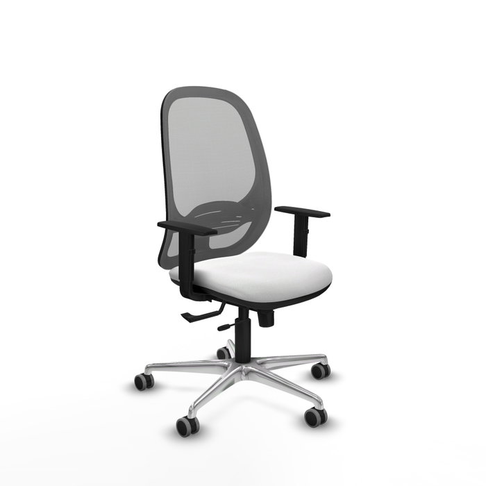 PIQUERAS Y CRESPO Silla de oficina Cilanco con mecanismo Sincro/Traslack, Blanco y Gris PIQUERAS Y CRESPO Silla de oficina Cilanco con mecanismo Sincro/Traslack, Blanco y Gris