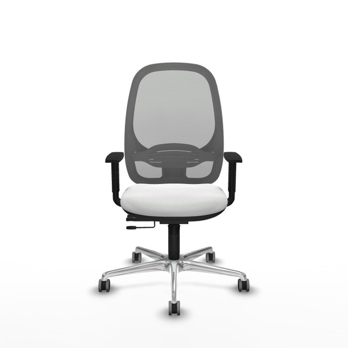 PIQUERAS Y CRESPO Silla de oficina Cilanco con mecanismo Sincro/Traslack, Blanco y Gris PIQUERAS Y CRESPO Silla de oficina Cilanco con mecanismo Sincro/Traslack, Blanco y Gris