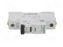 SCHNEIDER ELECTRIC iC60N Interruptor magnetotérmico 6A 1 Polo Característica C