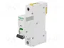 SCHNEIDER ELECTRIC iC60N Interruptor magnetotérmico 6A 1 Polo Característica C