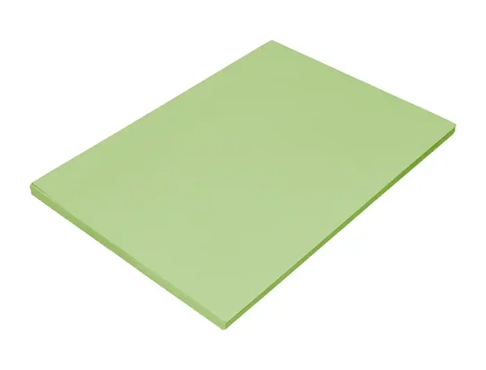 Liderpapel Papel de color verde intenso DIN A4 80g, 100 hojas
