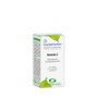 ESENTIAL AROMS NIAOULI aceite esencial 10 ml