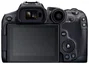 Canon EOS R7 32.5Megapixel Black Digital Camera