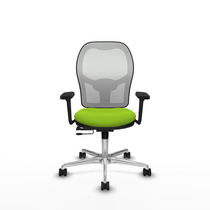 PIQUERAS Y CRESPO Silla de oficina Jorquera con mecanismo Sincro/Traslack, Pistacho y Blanco PIQUERAS Y CRESPO Silla de oficina Jorquera con mecanismo Sincro/Traslack, Pistacho y Blanco