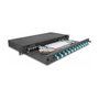 DeLOCK Caja de empalme de fibra óptica 12 x LC Duplex OM3 1HE