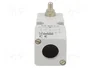 CROUZET Interruptor de fin de carrera SPDT 5A IP55