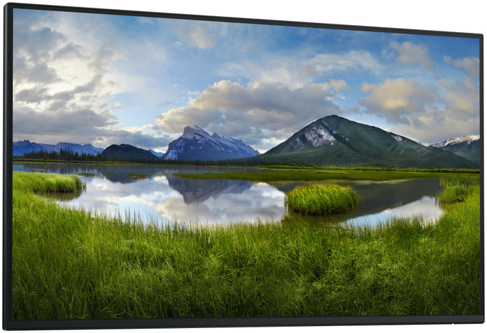 Dell P2725H Monitor 27 pulgadas Full HD IPS 100Hz Negro Dell P2725H Monitor 27 pulgadas Full HD IPS 100Hz Negro