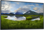 Dell P2725H Monitor 27 pulgadas Full HD IPS 100Hz Negro