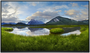 Dell P2725H Monitor 27 pulgadas Full HD IPS 100Hz Negro