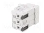 DF ELECTRIC Portafusibles PMX de 3 polos para raíl DIN