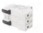 DF ELECTRIC Portafusibles PMX de 3 polos para raíl DIN