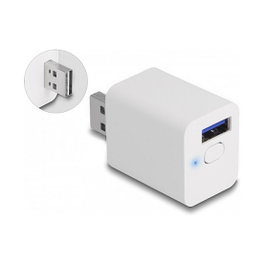 DeLOCK WLAN EASY-USB Smart Schalter MQTT Blanco