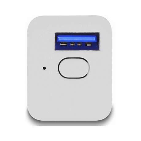 DeLOCK WLAN EASY-USB Smart Schalter MQTT Blanco DeLOCK WLAN EASY-USB Smart Schalter MQTT Blanco