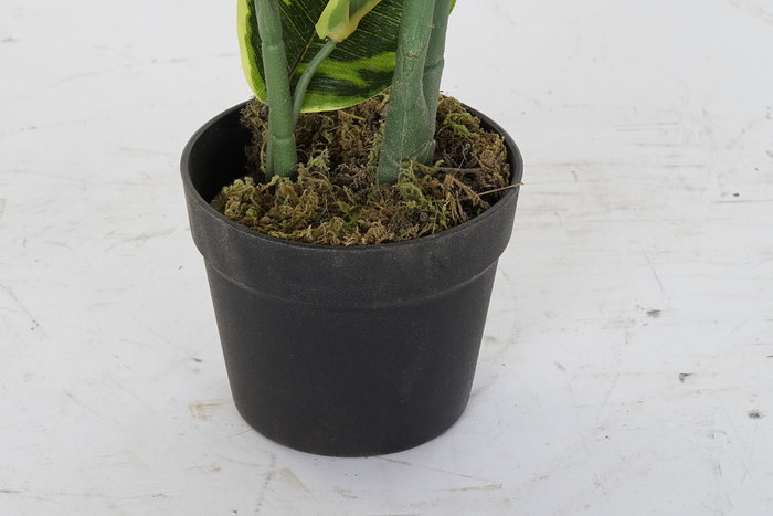 DKD Home Decor Planta Verde 40 x 40 x 120 cm