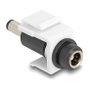 DeLOCK Keystone Modulo de Conector DC 5.5 x 2.1 mm Hembra a Macho, Plano, Blanco, Referencia DC 5.5 x 2.1, Conector de Alimentacion