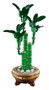 LEGO Bambú de la Suerte 10344