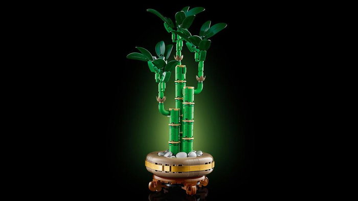 LEGO 10344 Botanical Bambú de la Suerte Kit de Construcción para Adultos con Maceta y Guijarros, Planta Decorativa que Atrae Buena Fortuna