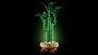 LEGO 10344 Botanical Bambú de la Suerte Kit de Construcción para Adultos con Maceta y Guijarros, Planta Decorativa que Atrae Buena Fortuna