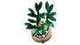 LEGO 10344 Botanical Bambú de la Suerte Kit de Construcción para Adultos con Maceta y Guijarros, Planta Decorativa que Atrae Buena Fortuna