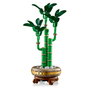 LEGO Botanical Bambú de la Suerte 10344