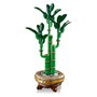 LEGO Botanical Bambú de la Suerte 10344