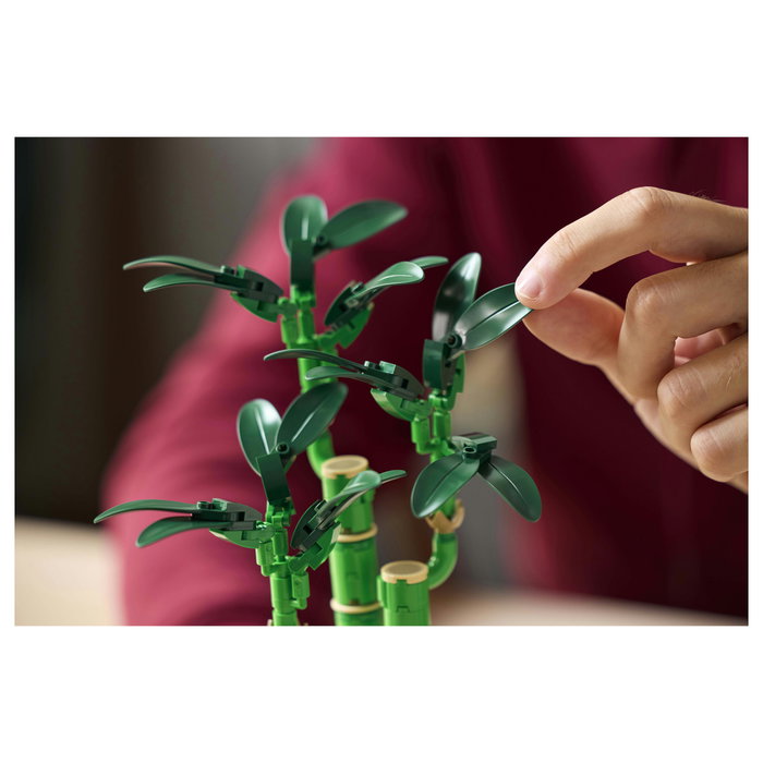 LEGO Botanical Bambú de la Suerte 10344 LEGO Botanical Bambú de la Suerte 10344