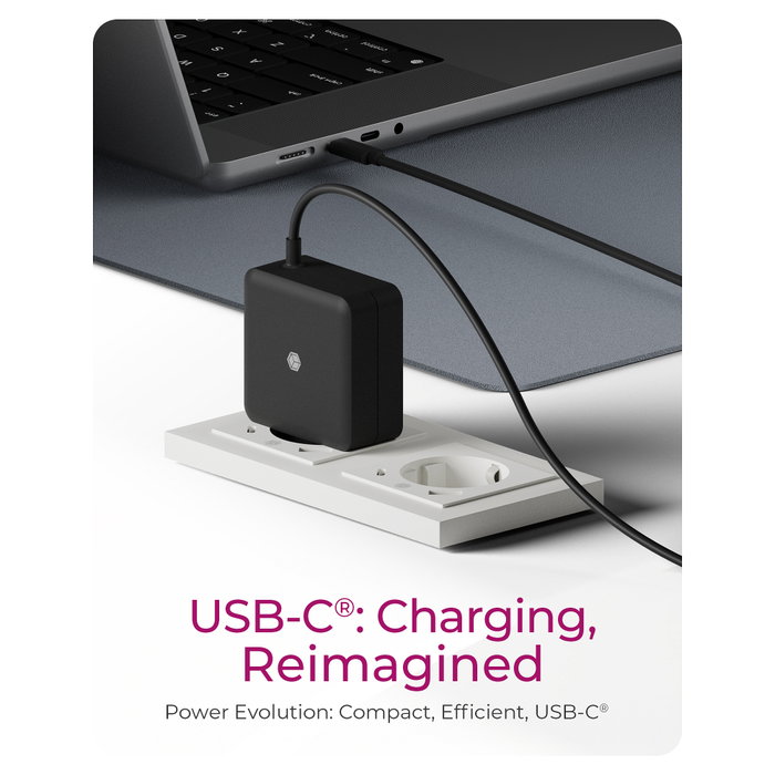 Icy Box IB-PS111-PD Cargador USB-C 65W con Cable Integrado Icy Box IB-PS111-PD Cargador USB-C 65W con Cable Integrado