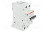 ABB S200M-C16 Interruptor magnetotérmico 2 polos 16A