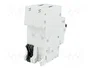 ABB S200M-C16 Interruptor magnetotérmico 2 polos 16A