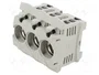 Mersen Base para fusibles D0 04735.000000 de 3 polos 63A con cubierta