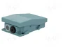 SCHNEIDER ELECTRIC Interruptor de pie Azul IP66