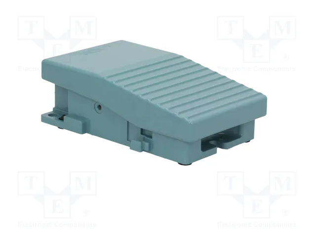 SCHNEIDER ELECTRIC Interruptor de pie Azul IP66
