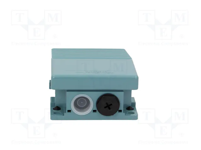 SCHNEIDER ELECTRIC Interruptor de pie Azul IP66