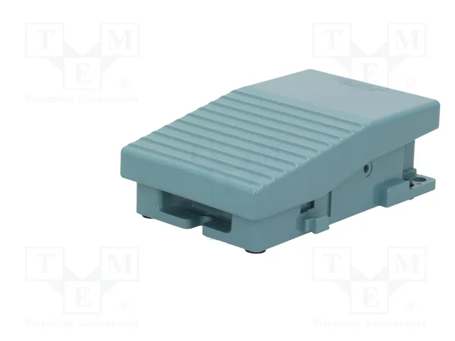 SCHNEIDER ELECTRIC Interruptor de pie Azul IP66