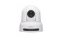 Sony SRG-X40UH Cámara de Seguridad IP 4K Blanca