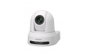 Sony SRG-X40UH Cámara de Seguridad IP 4K Blanca