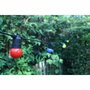 Aucune Guirnalda de 5 m con Bombillas de Colores y Negro