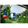 Aucune Guirnalda de 5 m con Bombillas de Colores y Negro